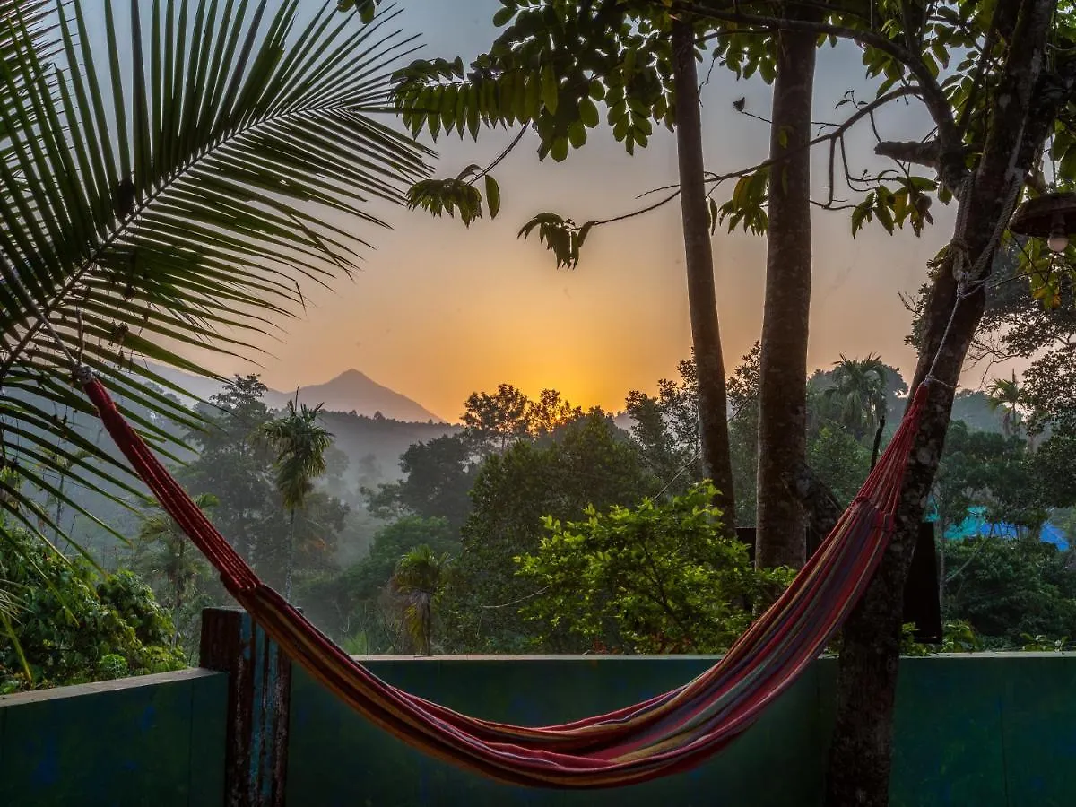 Gostops Munnar Hostel